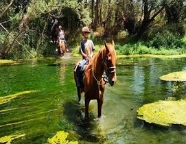 Esperienza a cavallo Sicilia escursione Alcantara